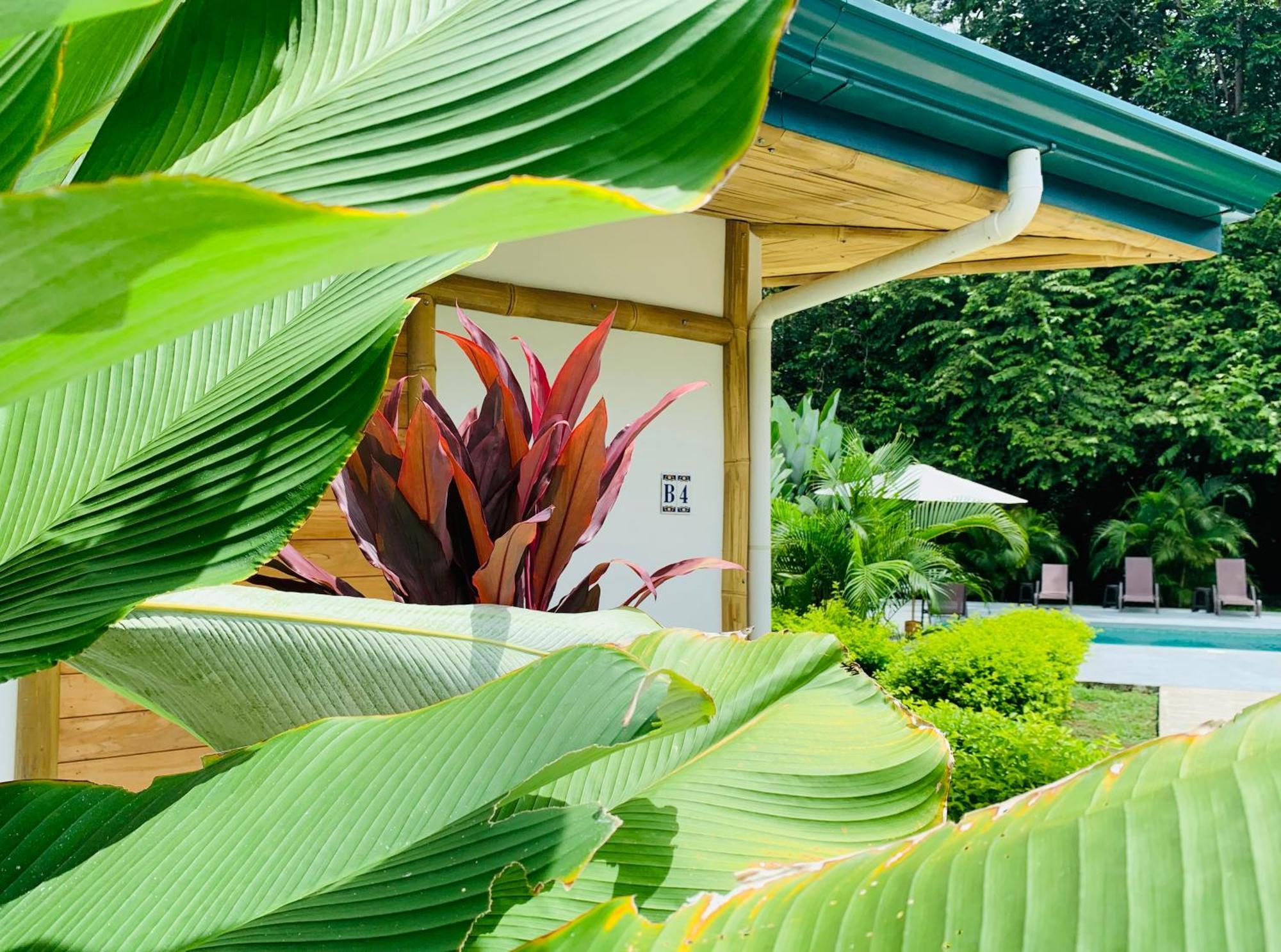 Bambura Bahia Villas Uvita Buitenkant foto
