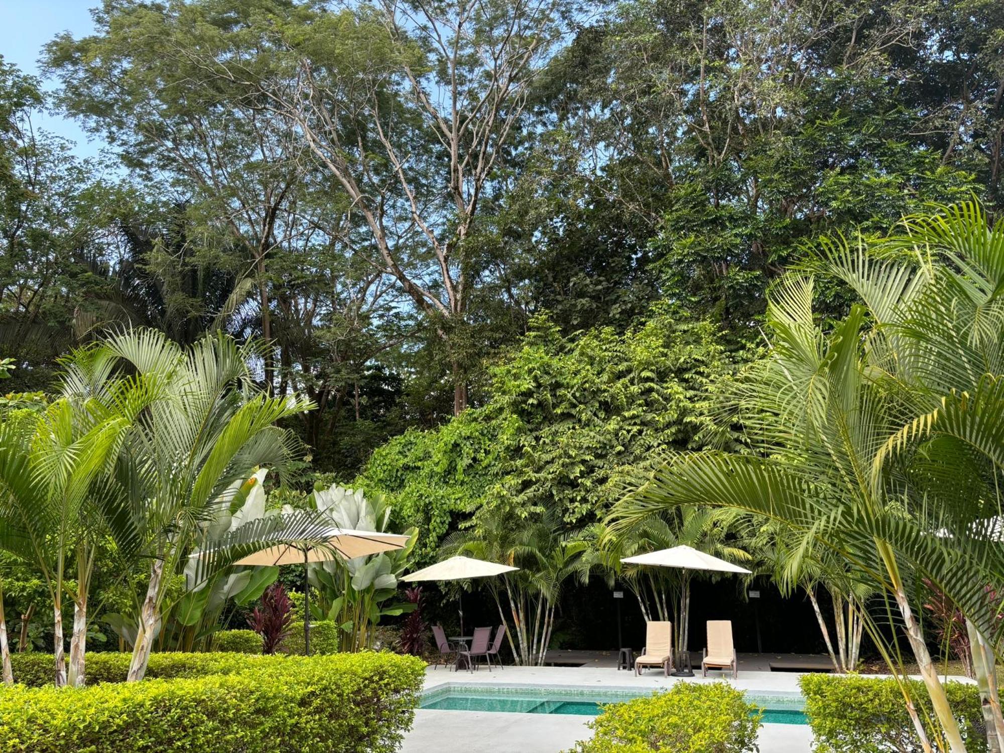 Bambura Bahia Villas Uvita Buitenkant foto